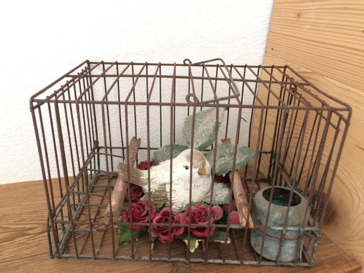 Fra Rose E Mughi Bed & Breakfast โดเม็จเจ ดิ กาโดเร ภายนอก รูปภาพ